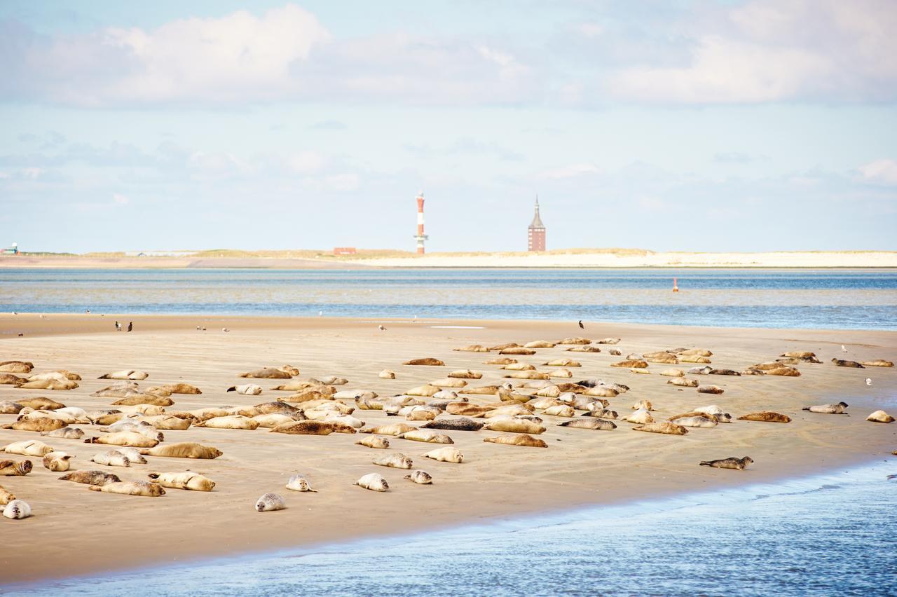 Jugendherberge Wangerooge Wangerooge Island Εξωτερικό φωτογραφία